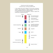 Load image into Gallery viewer, Oriente cattolico. Dicastero per le Chiese Orientali