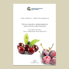 Load image into Gallery viewer, Piccoli gruppi e apprendimento nella scuola dell’infanzia. Una sfida che inizia con la formazione degli insegnanti