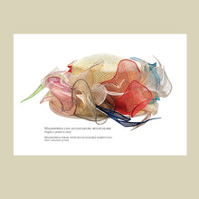 Charger l'image dans la galerie, Lorenzo Borghi. An Italian Milliner