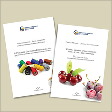 Carica l'immagine nel visualizzatore di Gallery, Un solo ordine e risparmia oltre il 10%! "Piccoli gruppi e apprendimento nella scuola dell’infanzia - FPSM 01" + "Il Progetto Educativo Personalizzato - FPSM 02"